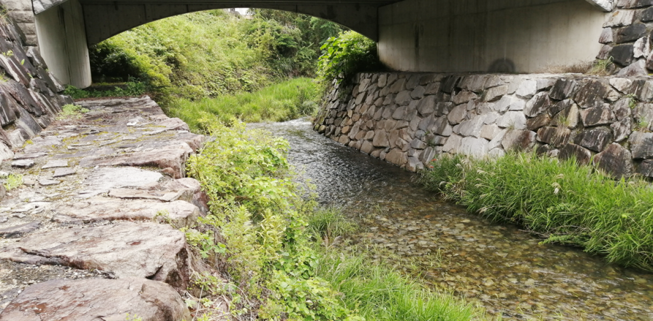 この場所は中讃地域のどこ？