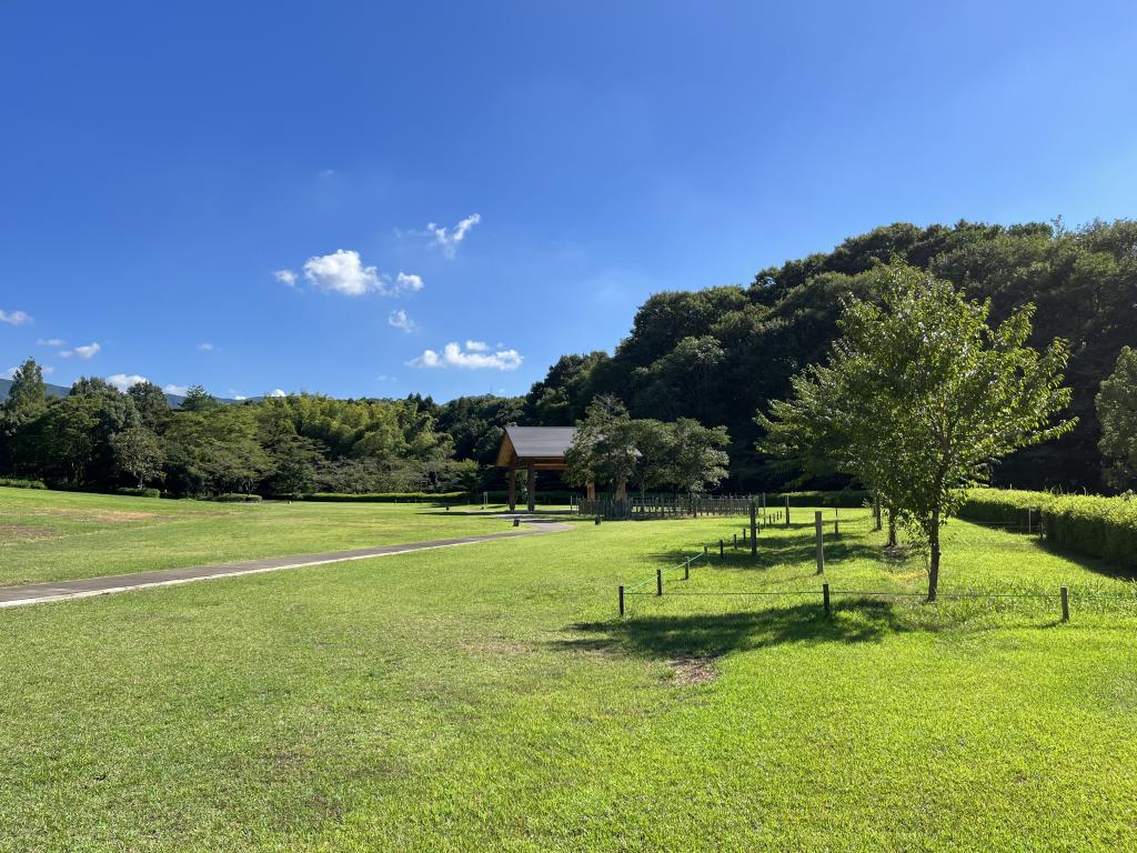 こちらは公園管理事務所です。当公園を紹介いただきありがとうございます。このトイレは清潔で近代的なものに生まれ変わります！また当公園では、楽しいイベントを毎月開催しています。
野鳥も多くいて素敵なさえずりを聞きながら、散策をお楽しみください。ご来園をお待ちしております。