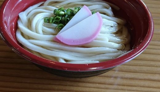 「本格手打ちうどん あかみち」のテイクアウト『かけうどん』