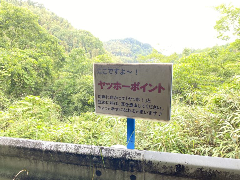 綾川町綾山湖付近の「ヤッホーポイント」山道につき道幅に注意