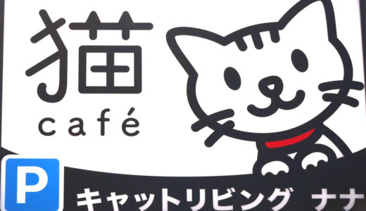 宇多津町に「Cat Living NANA」が2020年10月31日(土)にオープン！猫たちとゆったりとした時間を過ごす猫カフェ