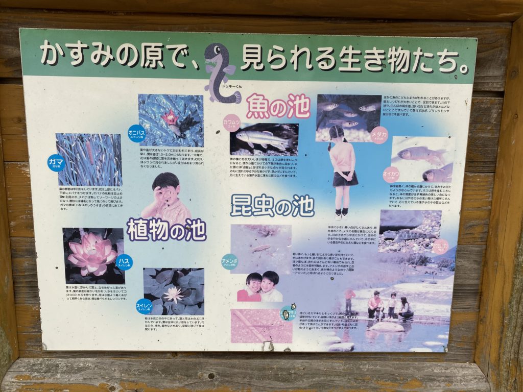 丸亀市垂水町 土器川生物公園