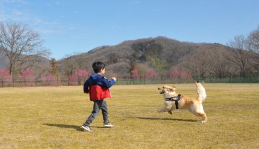 国営讃岐まんのう公園で「冬季限定！特設ドッグラン」が2021年2月6日(土)～3月14日(日)まで設置されている