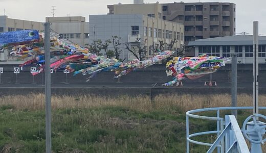 城東小学校付近の土器川で約300匹の「こいのぼり」がつり渡ってる