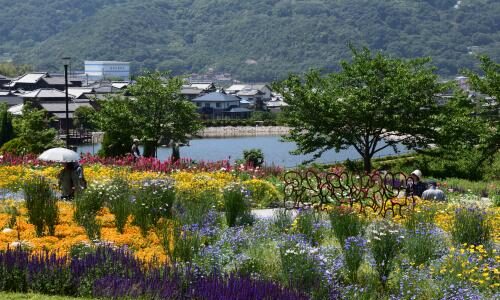 善通寺市の「善通寺五岳の里」市民集いの丘公園が2021年5月15日(土)～5月31日(月)まで臨時休園。「善通寺フラワー＆ガーデンフェスタ2021」も中止