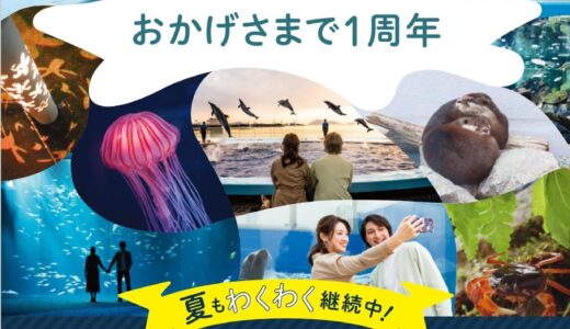 四国水族館で1周年記念企画として夜の水族館「Night scapeこがねいろ2021」が2021年7月22日(木)～8月29日(日)まで開催される。期間中は21時まで開館