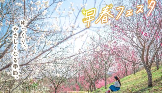 国営讃岐まんのう公園で「早春フェスタ」が2022年2月11日(金)〜3月6日(日)まで開催してる