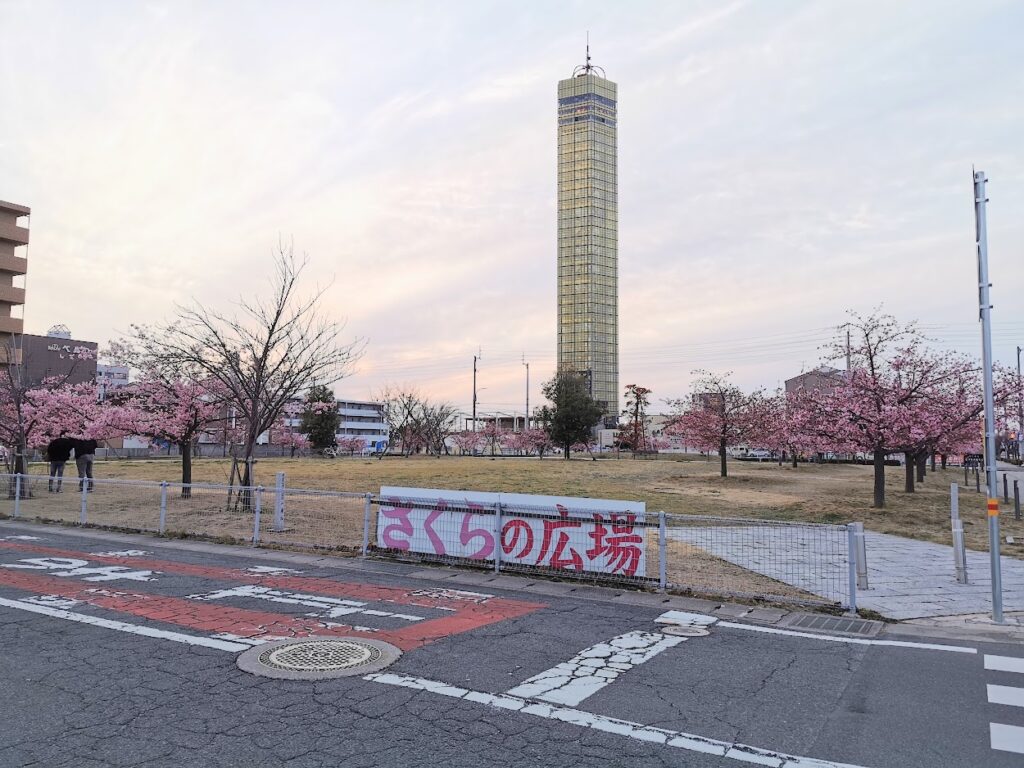 宇多津町 さくらの広場 河津桜