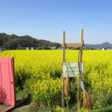 まんのう町 帆山団地 中山団地 菜の花