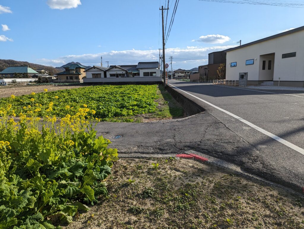 坂出市加茂町 菜の花 場所