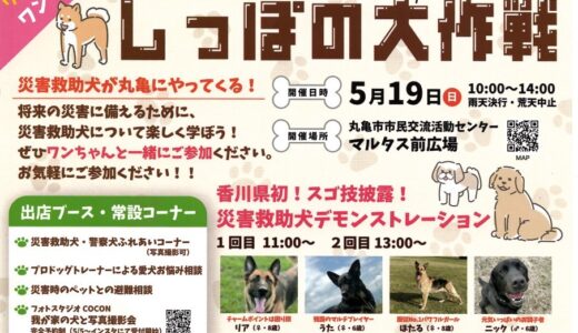 丸亀市市民交流活動センターマルタスで災害救助犬ふれあいイベント「しっぽの大作戦」が2024年5月19日(日)に開催される！愛犬と参加OKで香川県初のスゴ技披露もあるみたい