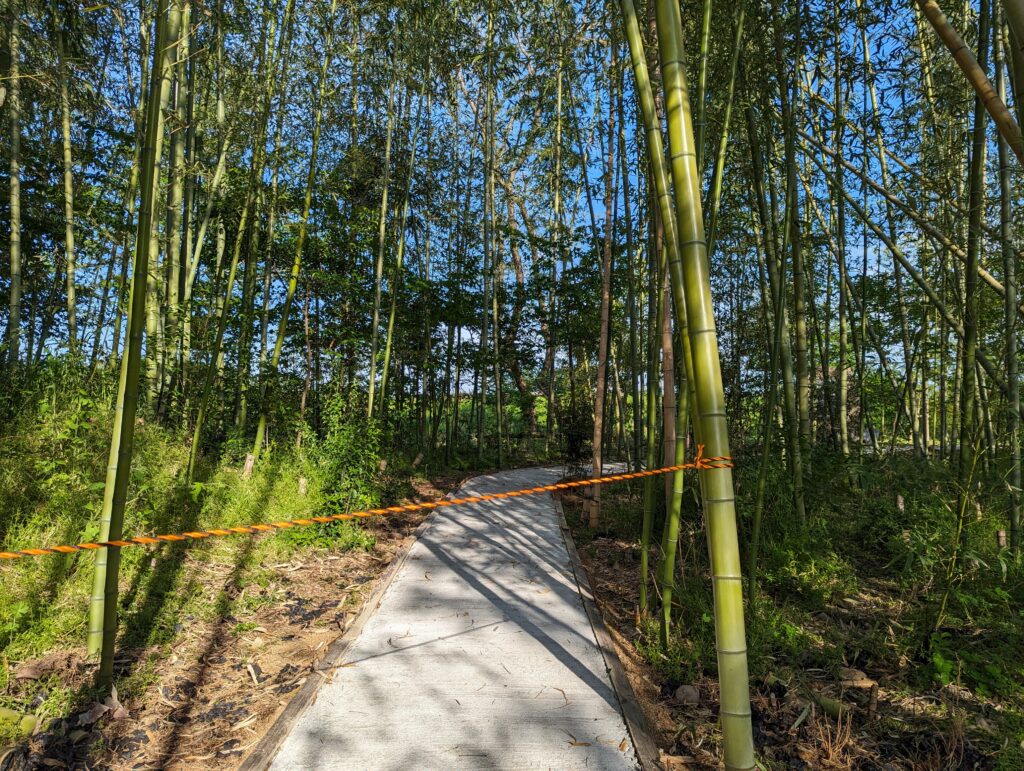 丸亀市川西町 竹林 遊歩道