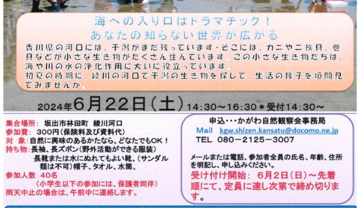 綾川河口で「キャッチ・ザ・自然Ⅰ－干潟の生き物を調べよう！」が2024年6月22日(土)に開催される！6月2日(日)から参加者募集開始