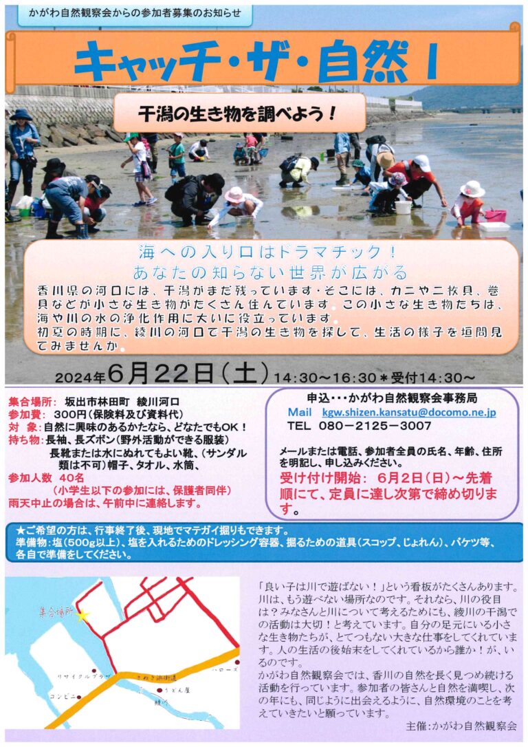 綾川河口で「キャッチ・ザ・自然Ⅰ－干潟の生き物を調べよう！」が2024年6月22日(土)に開催される！6月2日(日)から参加者募集開始