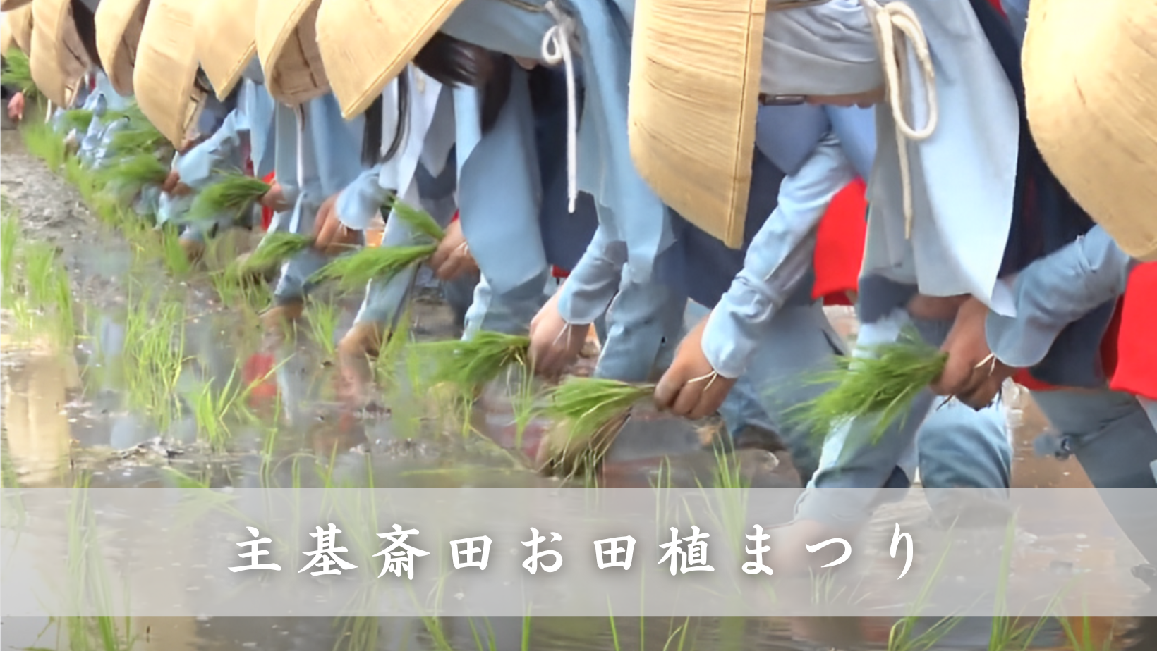 綾川町 主基斎田お田植まつり109