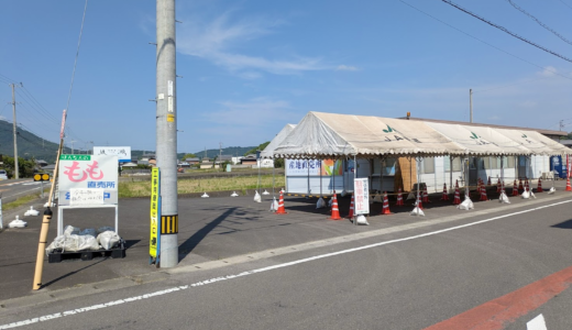 丸亀市飯山町 飯南産地直売所 飯南の桃