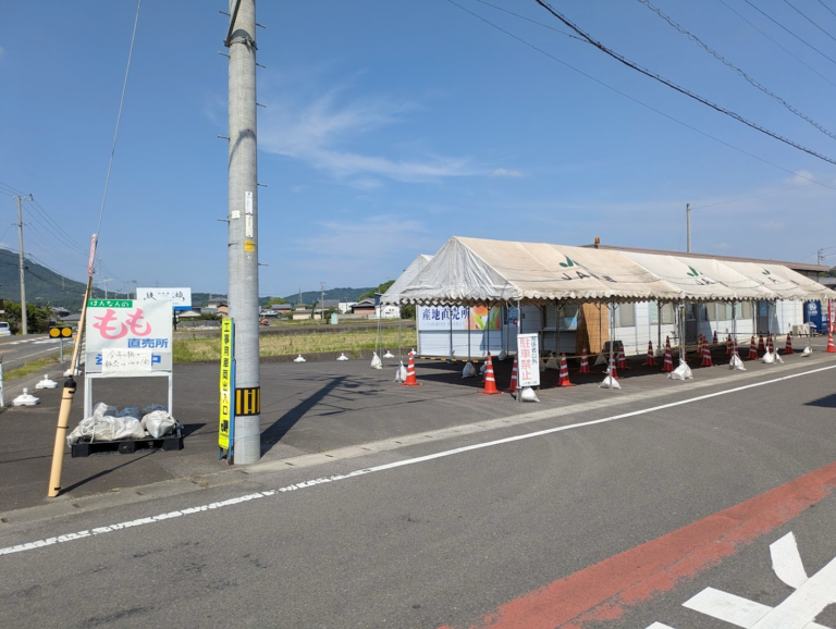 丸亀市飯山町の「飯南産地直売所」が2024年6月14日(金)からオープンするみたい！今年も『飯南の桃』の販売がスタート