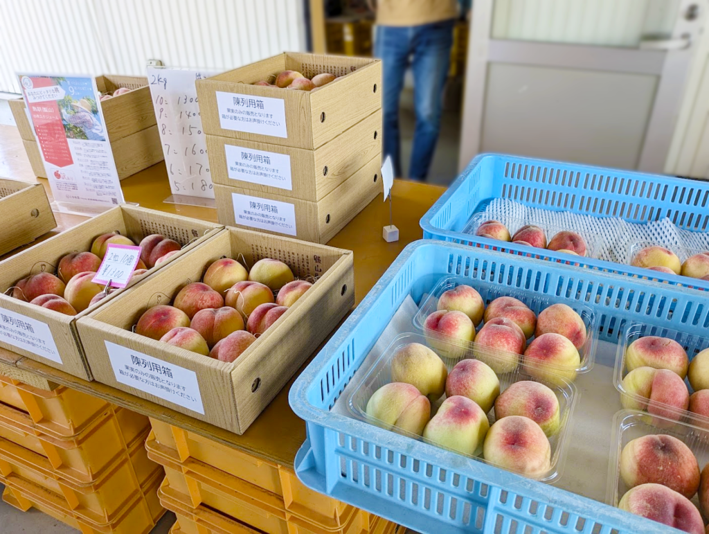 丸亀市飯山町 三谷桃園