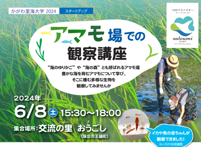 坂出市の交流の里おうごしで「かがわ里海大学 アマモ場での観察講座」が2024年6月8日(土)に開催される！※募集終了