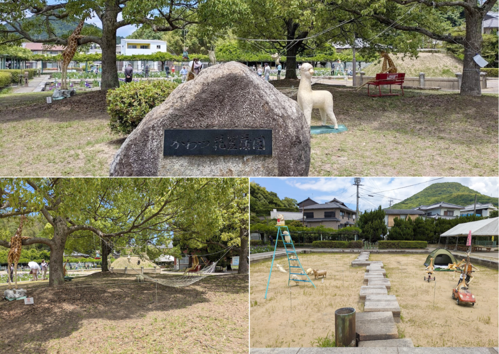 坂出市川津町 かわつ花菖蒲園