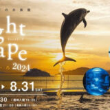 四国水族館 Night scapeこがねいろ2024