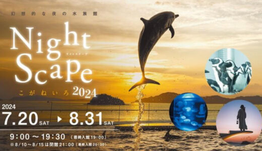 四国水族館で「Night scapeこがねいろ2024」が2024年7月20日(土)～8月31日(土)まで開催中。夜間照明演出あり！