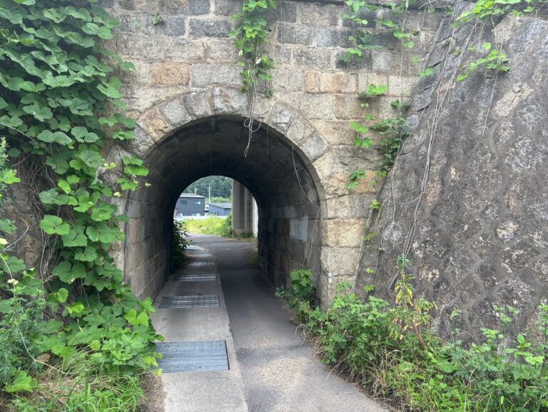 植物に囲まれたトンネル。ここだけの世界観