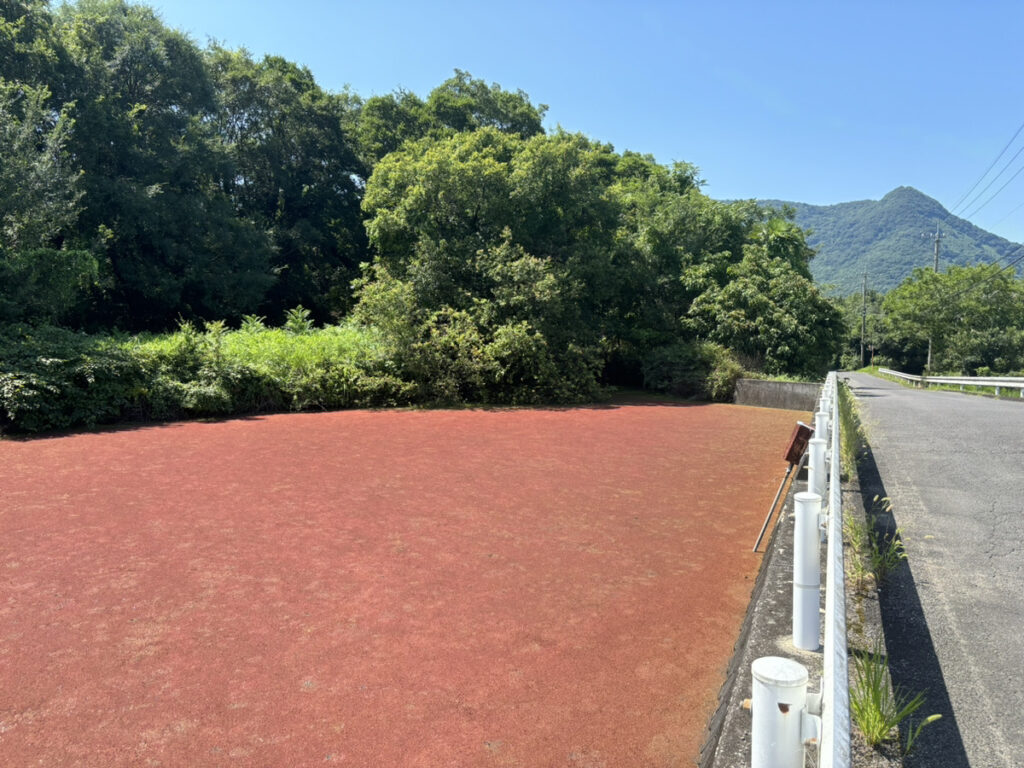 綾川町 赤い池 道路