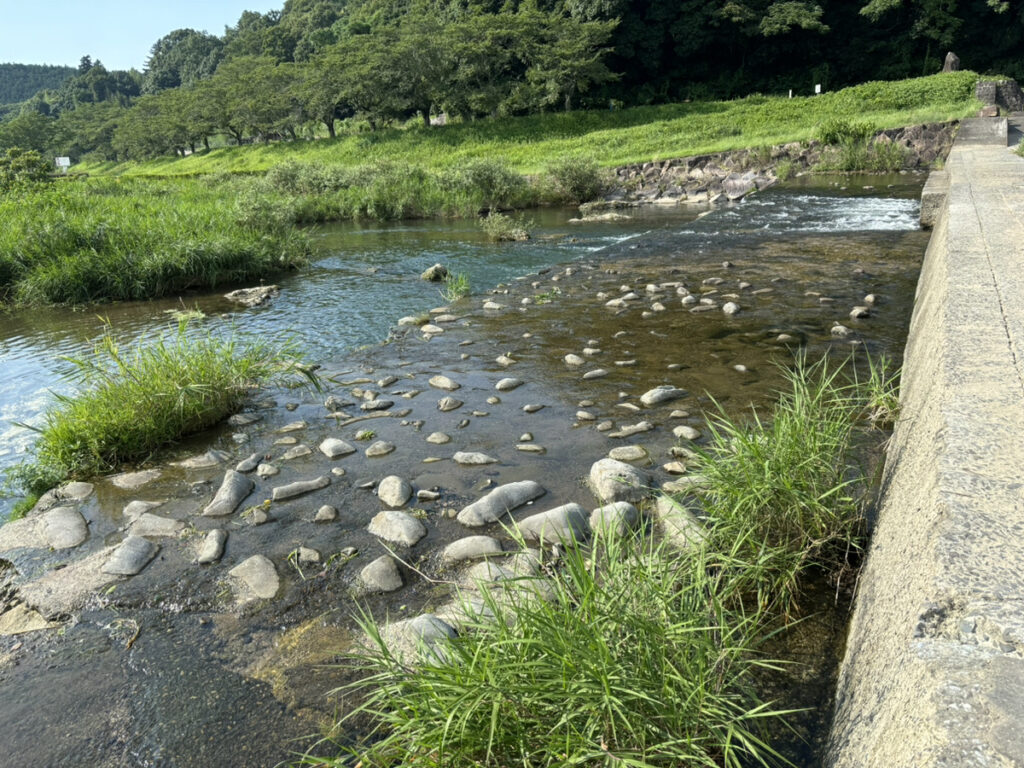 まんのう町 ことなみ土器どきひろば