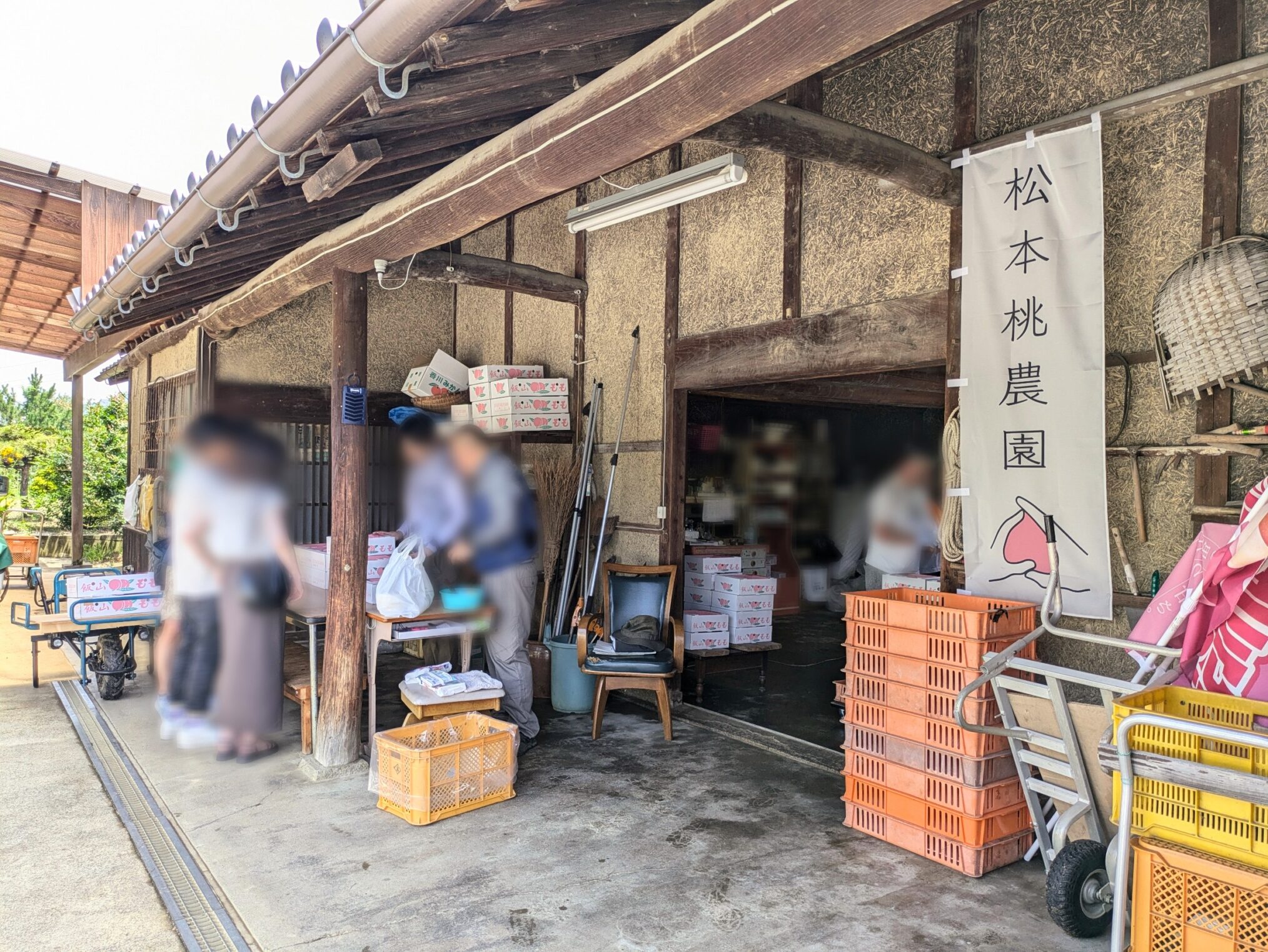 丸亀市飯山町 松本桃農園