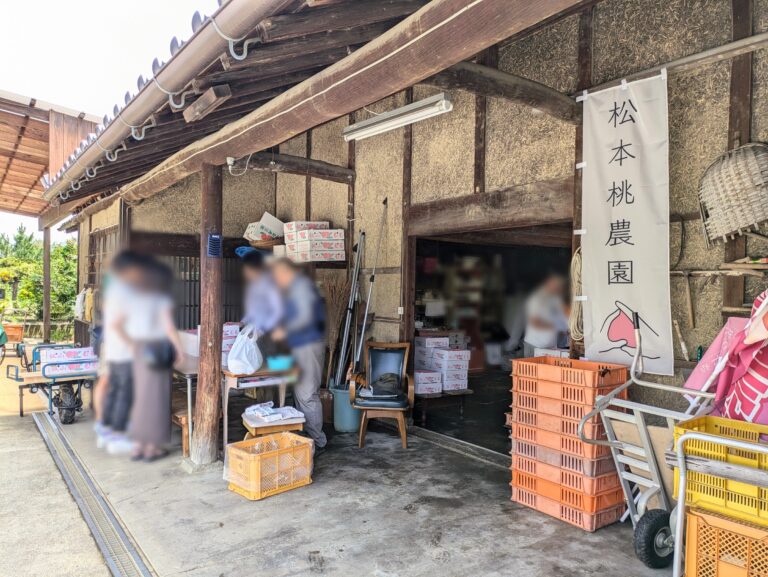 丸亀市飯山町の「松本桃農園」で2024年6月13日(木)から桃直売所をオープン！60年の歴史を持つ桃農園