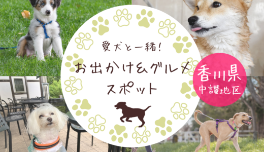 ペット同伴OK！愛犬と一緒のお出かけ＆グルメスポットまとめ