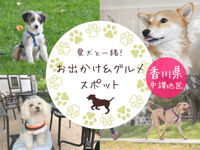 ペット同伴OK！愛犬と一緒のお出かけ＆グルメスポットまとめ