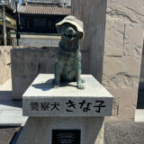 丸亀市 きな子