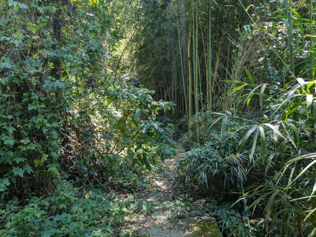 善通寺市 火上山