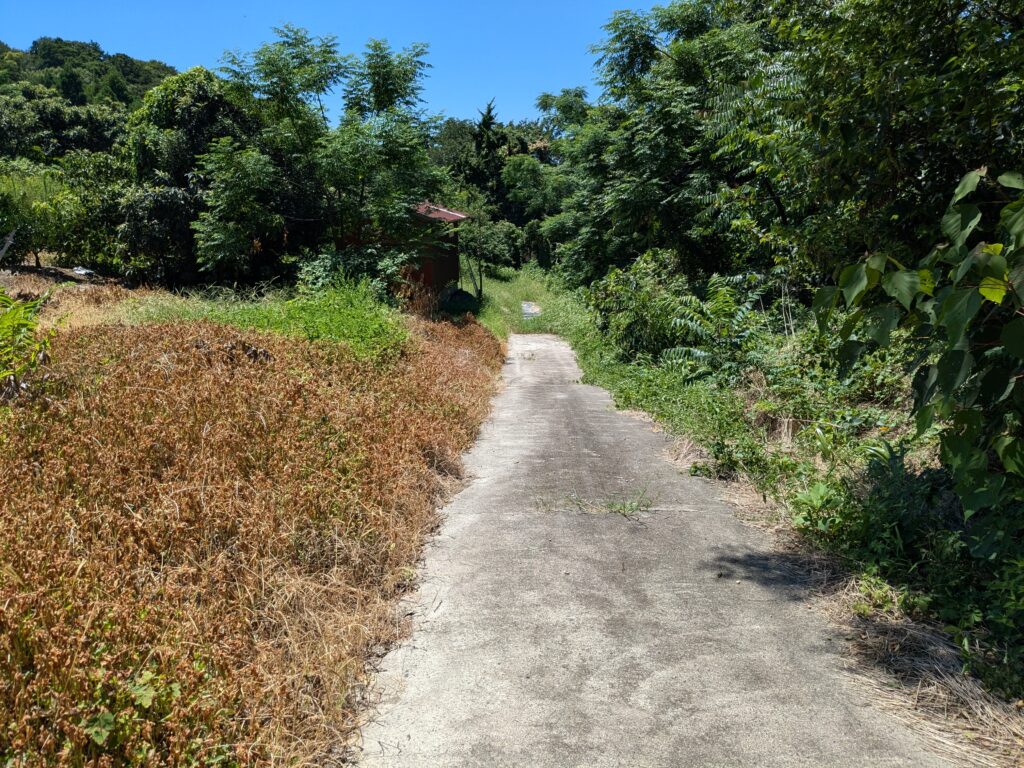 善通寺市 火上山