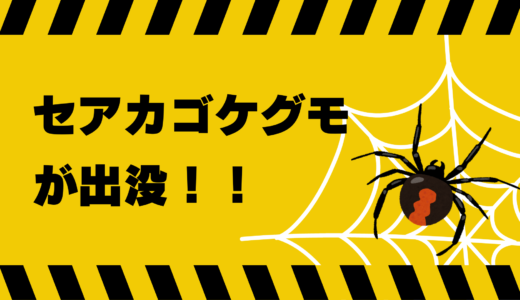 坂出市内でセアカゴケグモにかまれる被害があったみたい。9月はかまれる被害が発生しやすいので注意を！