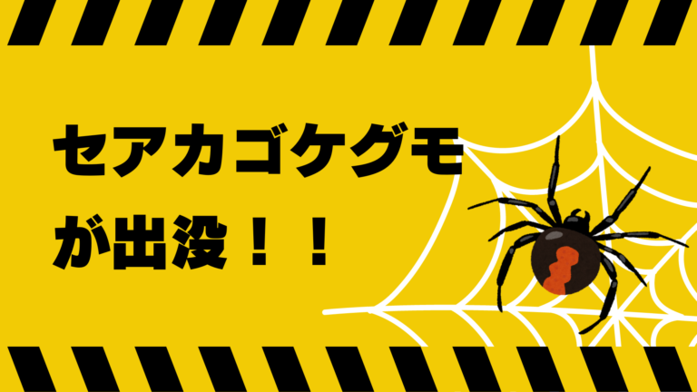 坂出市内でセアカゴケグモにかまれる被害があったみたい。9月はかまれる被害が発生しやすいので注意を！