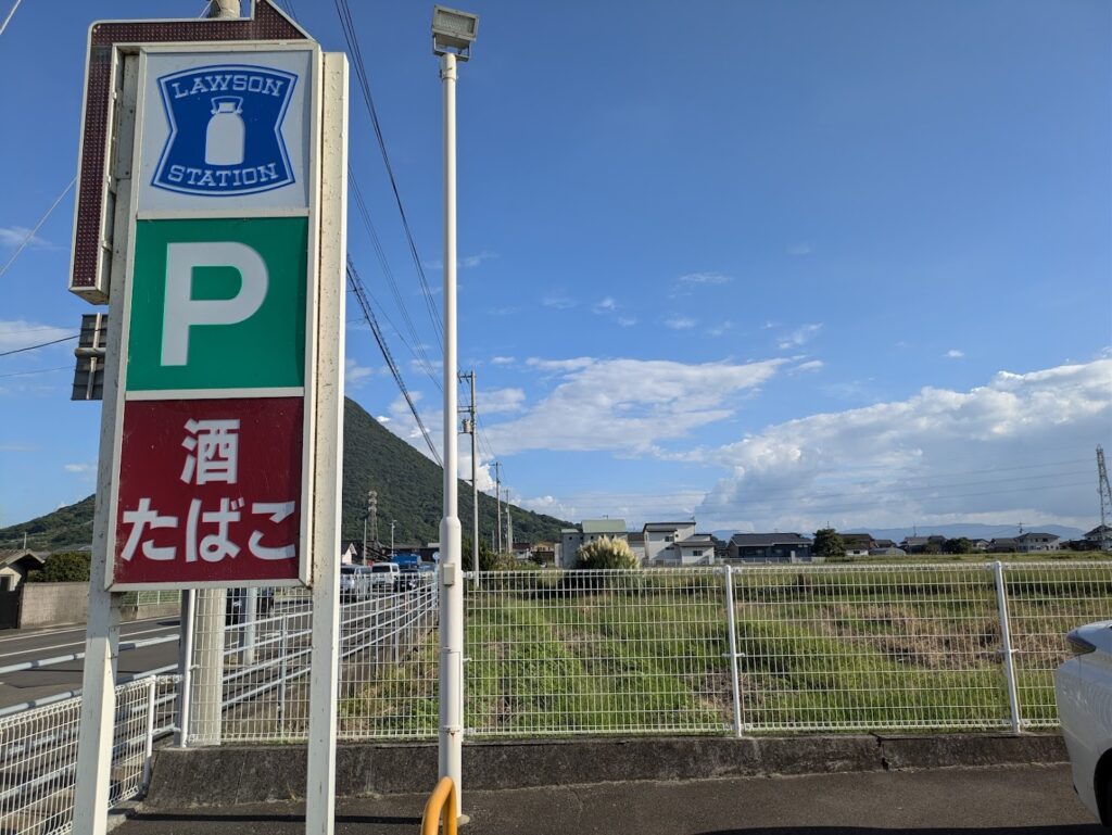 丸亀市飯野町 パンパスグラス