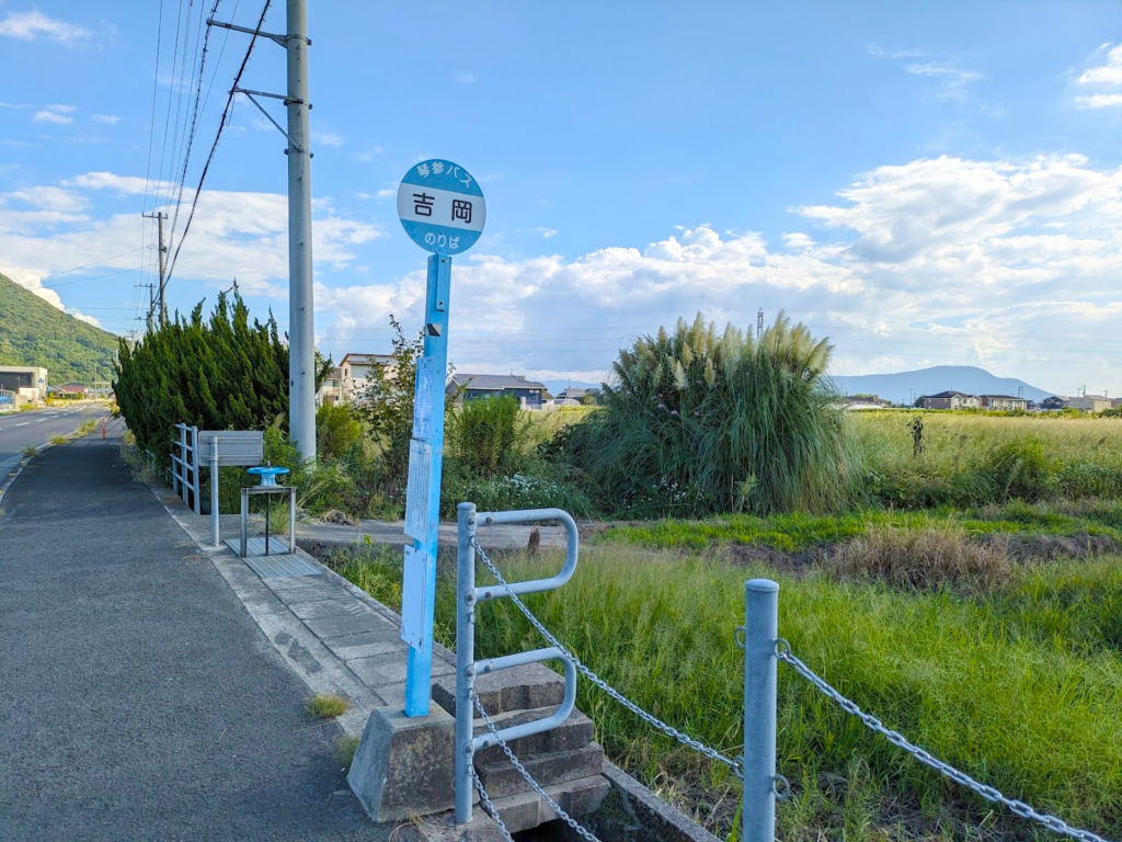 丸亀市飯野町 パンパスグラス