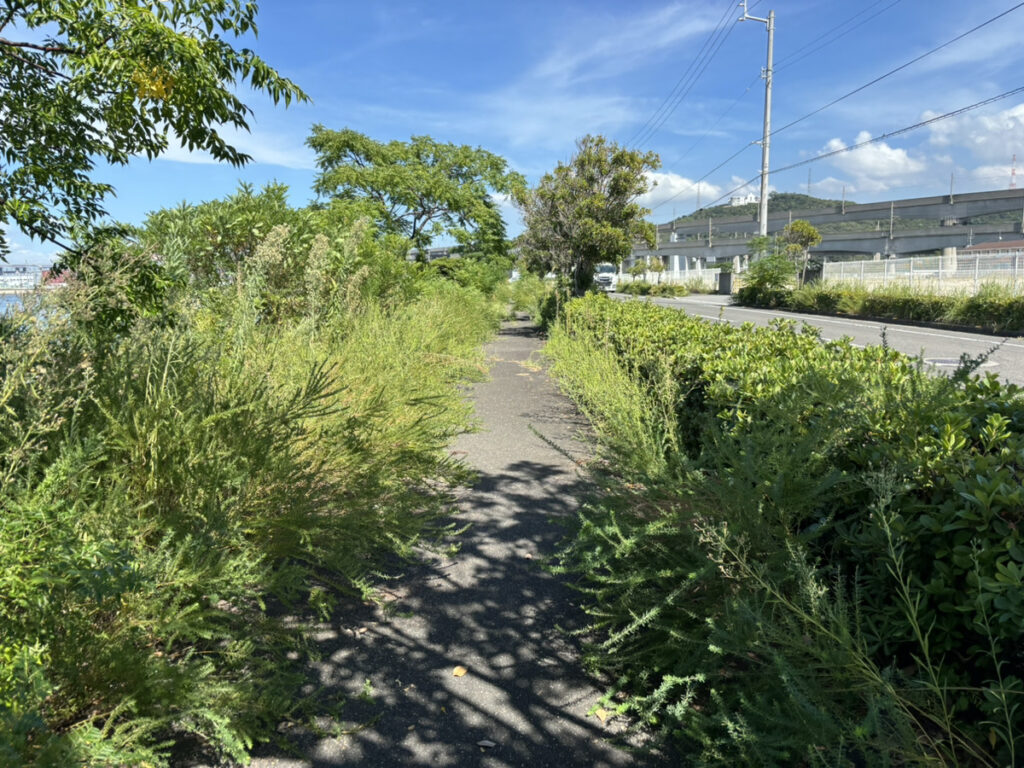 宇多津町 散歩道