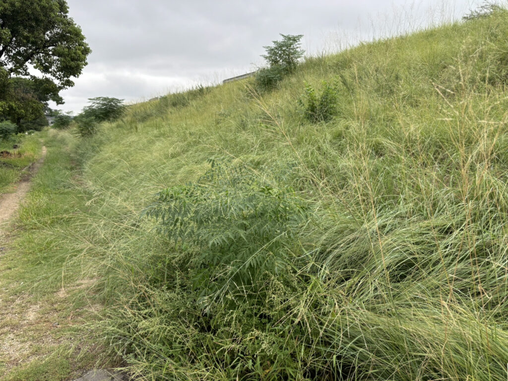 丸亀市川西町 竜王子供の遊び場