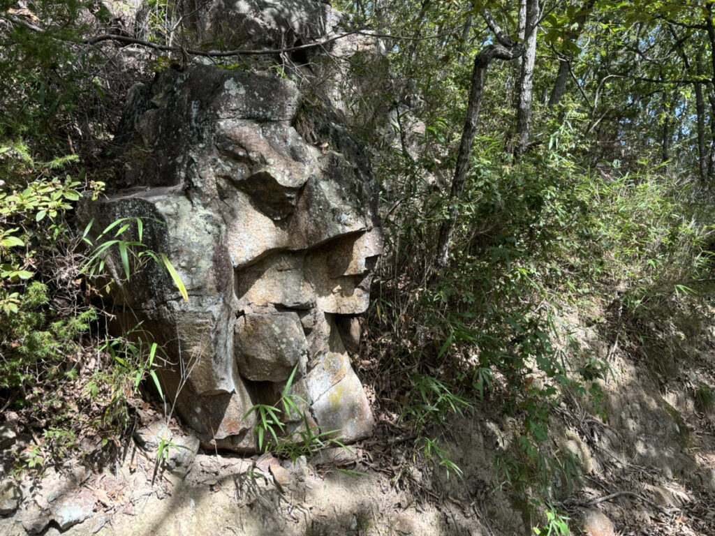 坂出市府中町 猫山 人面岩2