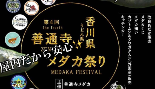 善通寺五岳の里市民集いの丘公園で「善通寺メダカ祭り」が2024年10月6日(日)に開催される！キッチンカーやカブトムシ・クワガタもくるみたい⁉