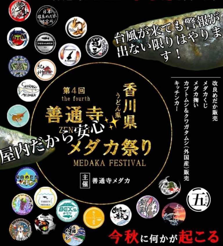 善通寺五岳の里市民集いの丘公園で「善通寺メダカ祭り」が2024年10月6日(日)に開催される！キッチンカーやカブトムシ・クワガタもくるみたい&#x2049;