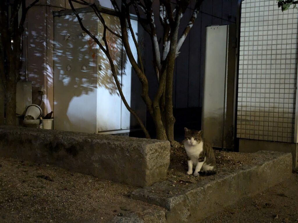 丸亀市大手町 大手町広場