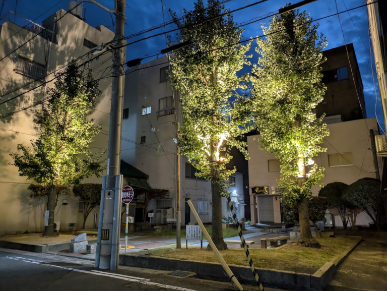 大手町広場で黄昏に輝くイチョウの木！丸亀市の隠れスポットを発見&#x2049;