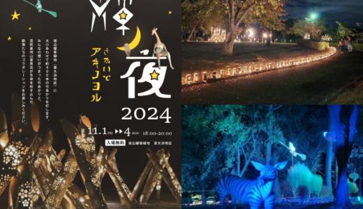 坂出市で「さかいで輝ノ夜(アキノヨル)」が2024年11月1日(金)～11月4日(月)まで開催される！