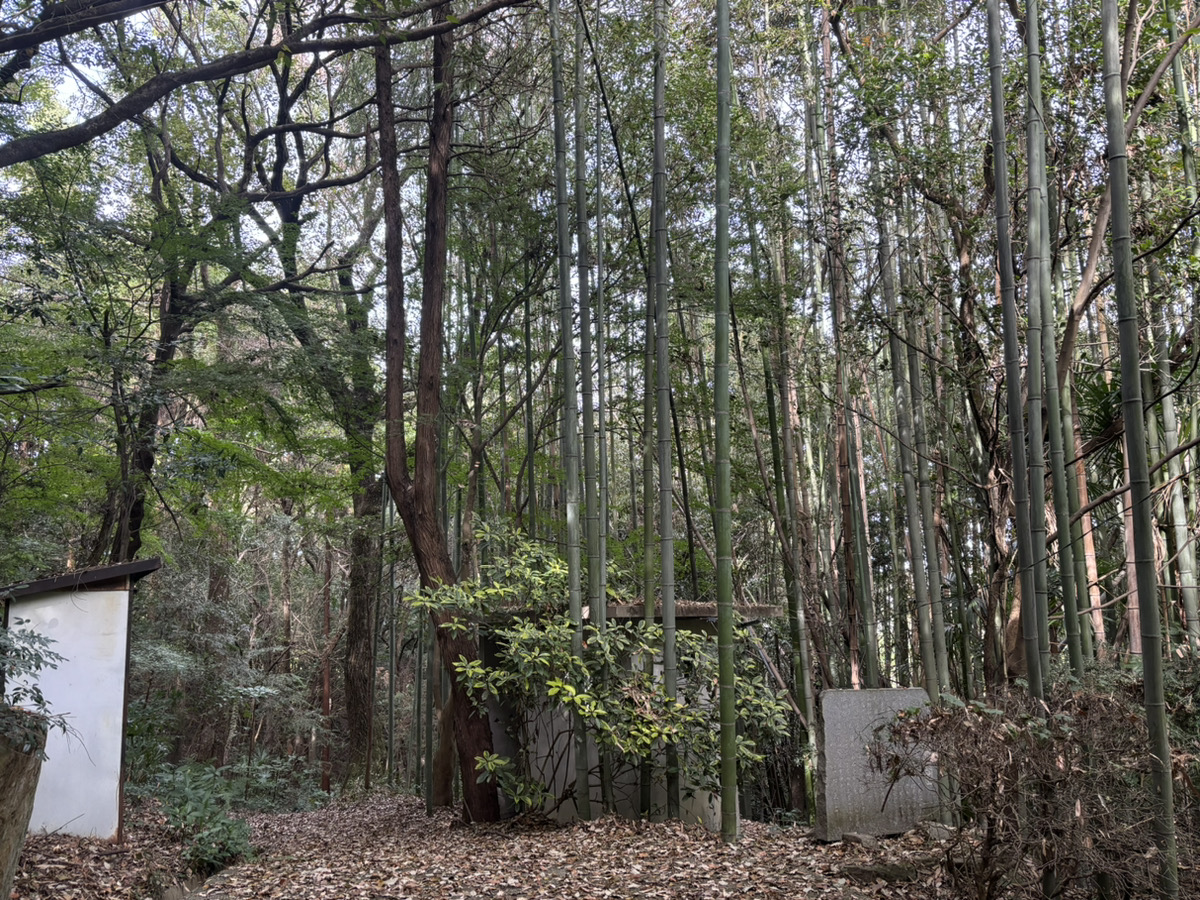 綾川町 生子山公園