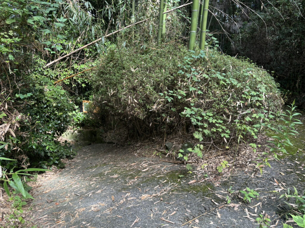 綾歌郡綾川町 生子山公園